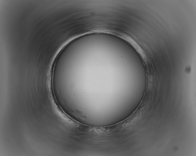 X0000093770955200711061131