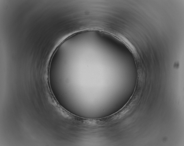 X0000093770956200711061131