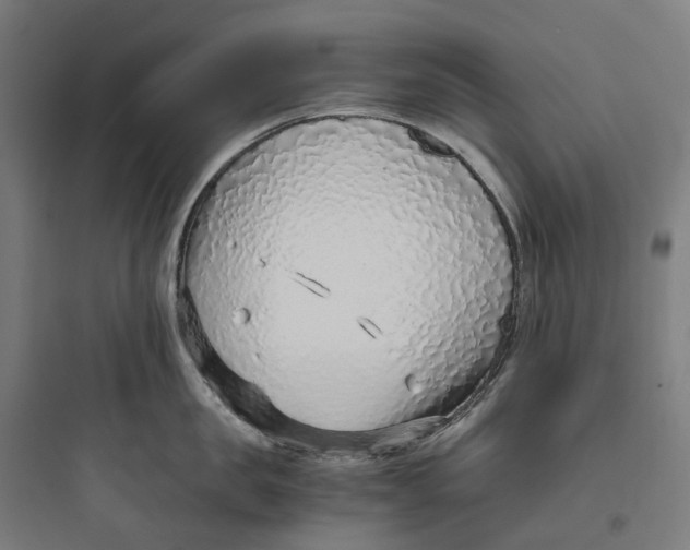 X0000093770957200711061131