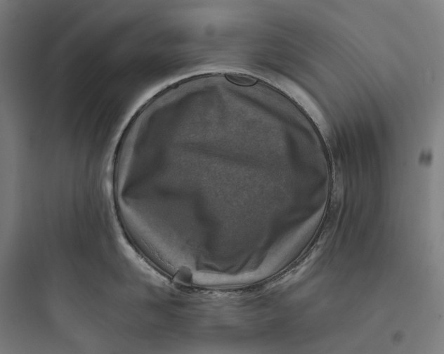 X0000093770958200711061131