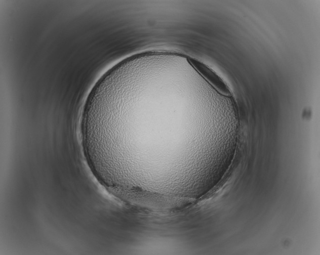 X0000093770959200711061131