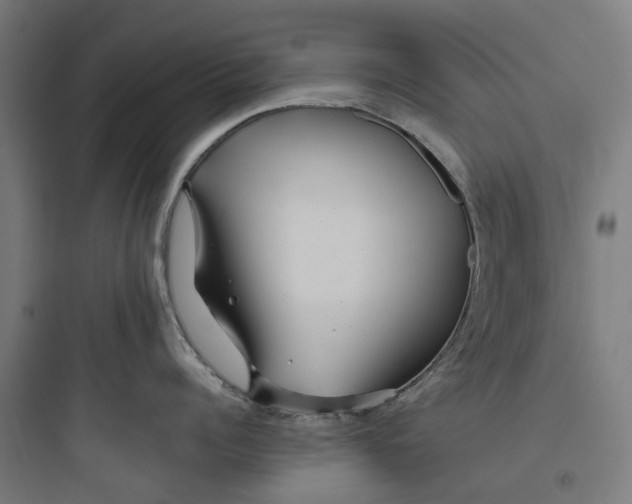 X0000093770960200711061131