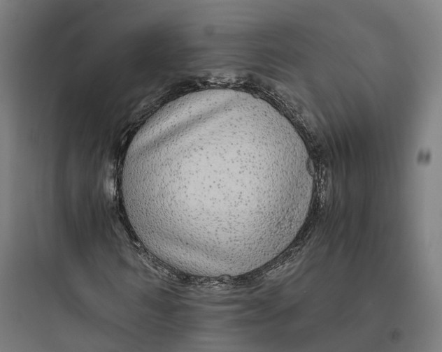 X0000093770962200711061131