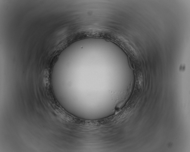 X0000093770964200711061131