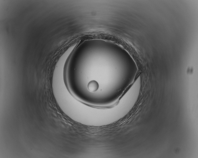 X0000093770965200711061131