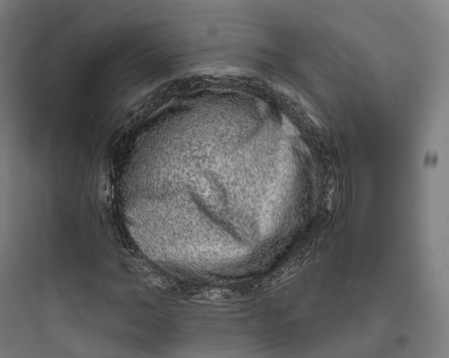 X0000093770966200711061131