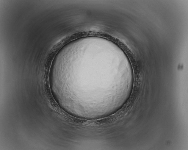 X0000093770967200711061130