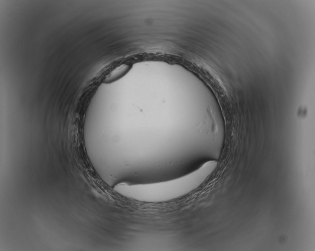 X0000093770968200711061130