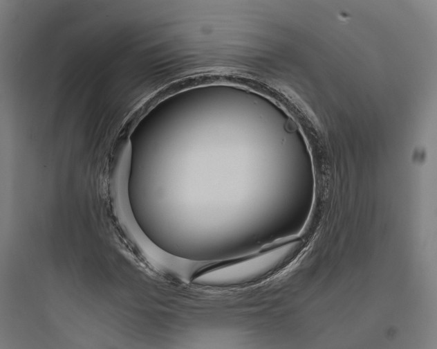 X0000093770969200711061130