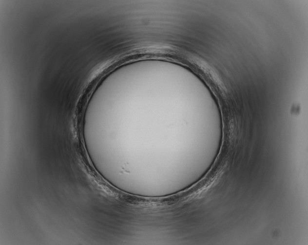 X0000093770970200711061130