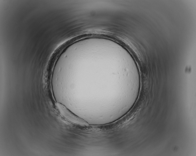 X0000093770971200711061130