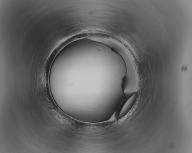 X0000093770973200711061130