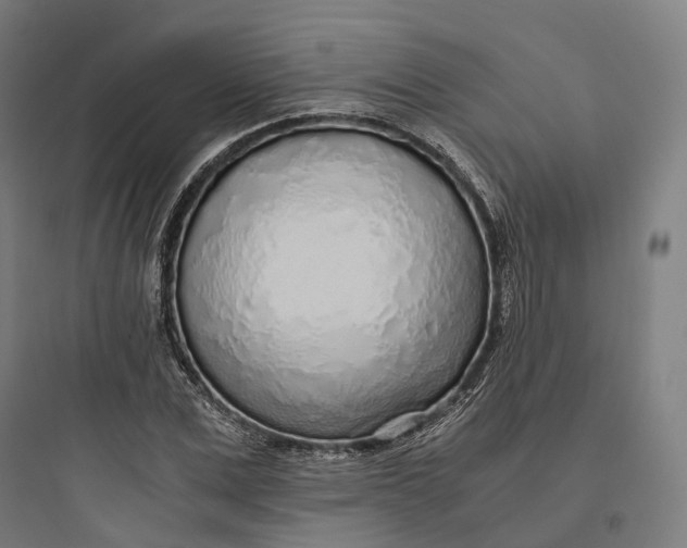 X0000093770975200711061130