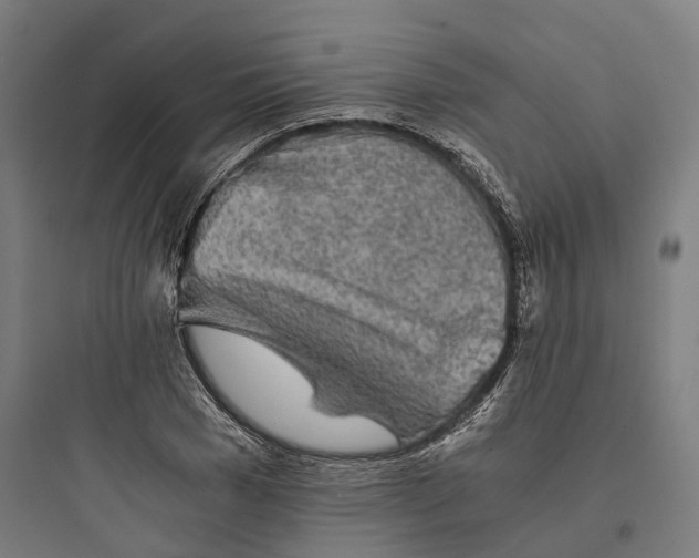 X0000093770977200711061130