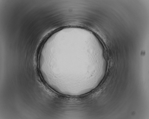 X0000093770979200711061130