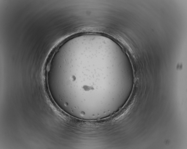 X0000093770981200711061130