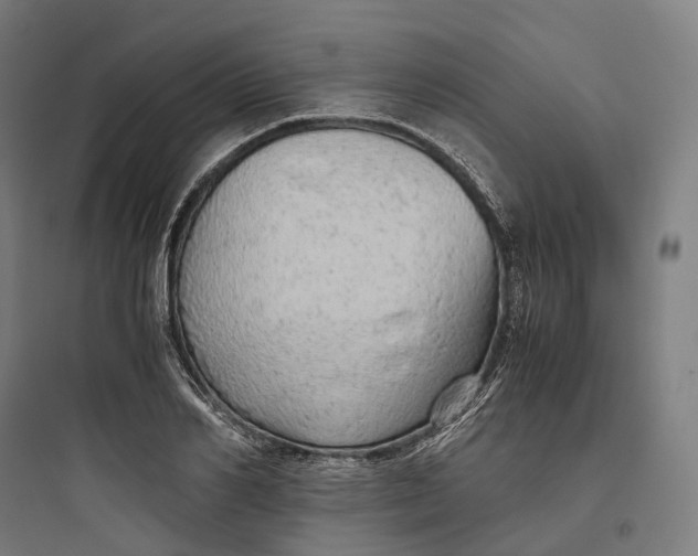 X0000093770982200711061130