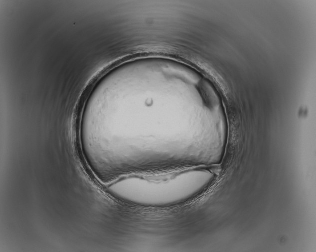 X0000093770983200711061130