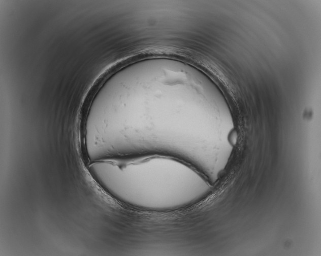 X0000093770984200711061130