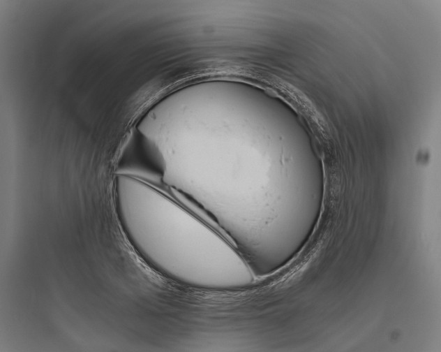 X0000093770985200711061130