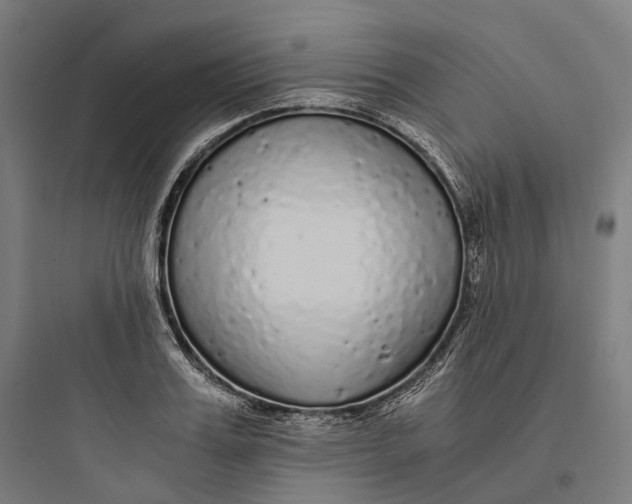 X0000093770987200711061130