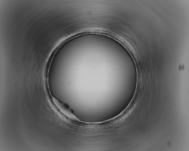 X0000093770989200711061130