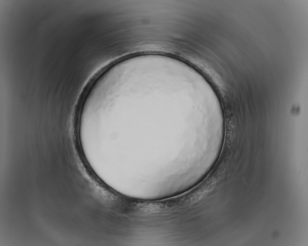 X0000093770991200711061130