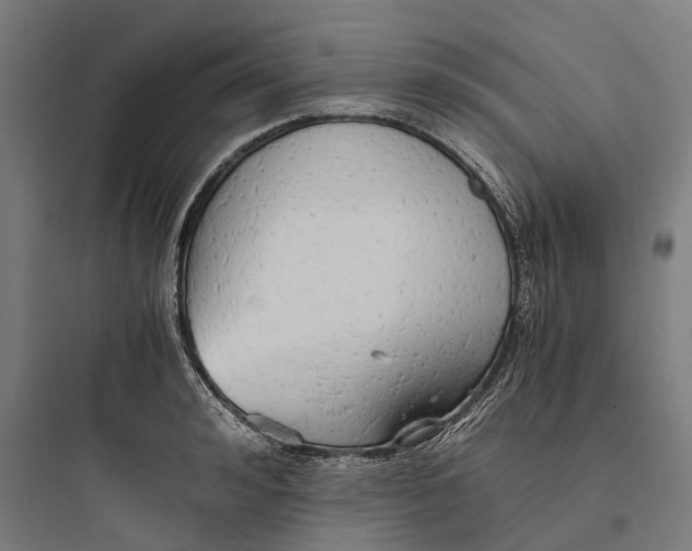 X0000093770992200711061130