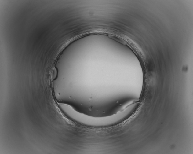 X0000093770993200711061130