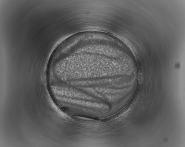 X0000093770995200711061130