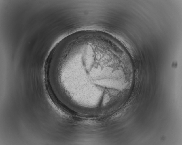 X0000093770998200711061130