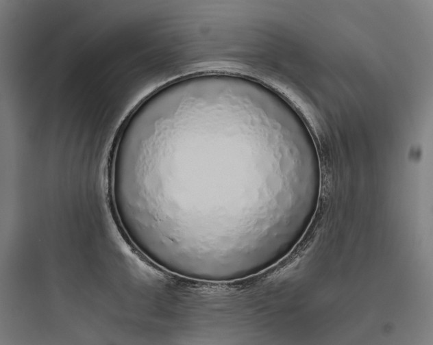 X0000093770999200711061130