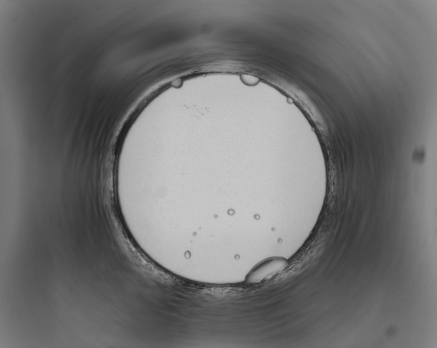 X0000093771000200711061130