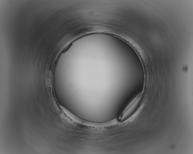 X0000093771001200711061130