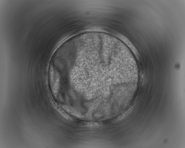 X0000093771002200711061130