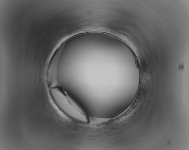 X0000093771005200711061130