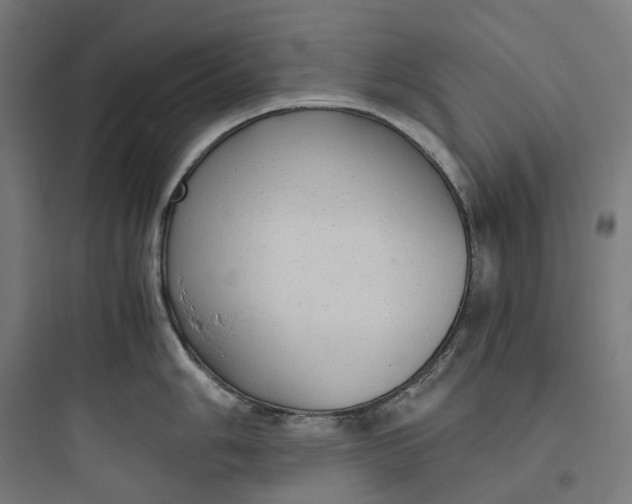 X0000093771006200711061130