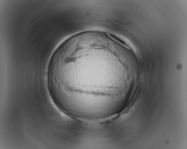 X0000093771007200711061130