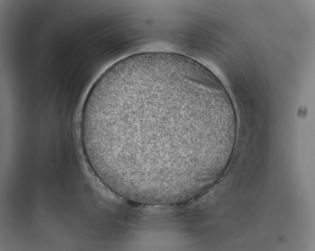 X0000093771008200711061130