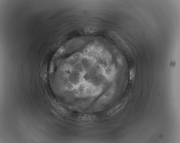 X0000093771011200711061129