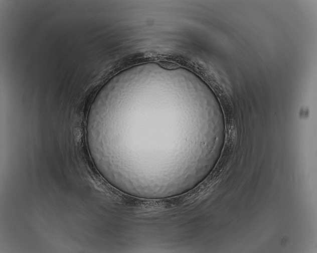 X0000093771012200711061129