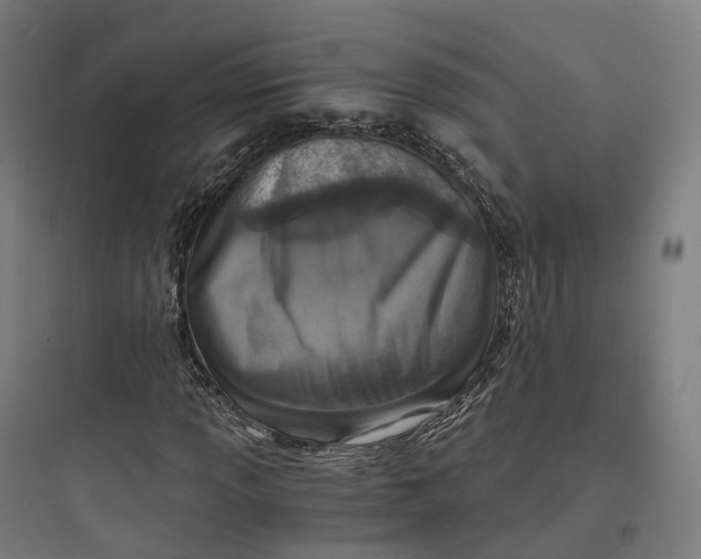 X0000093771013200711061129