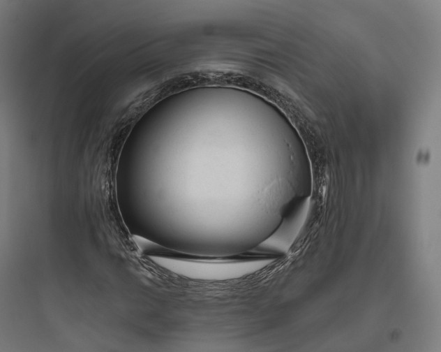 X0000093771014200711061129