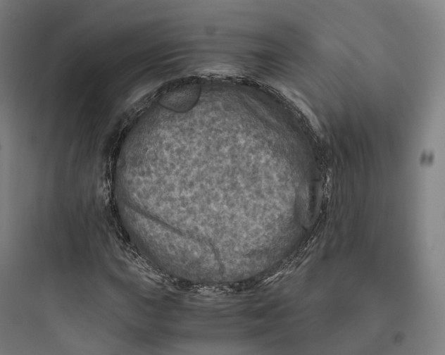 X0000093771015200711061129