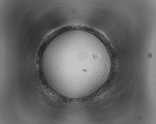 X0000093771016200711061129