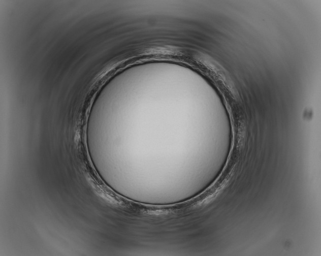 X0000093771017200711061129