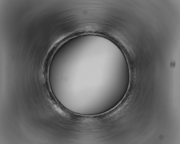 X0000093771018200711061129