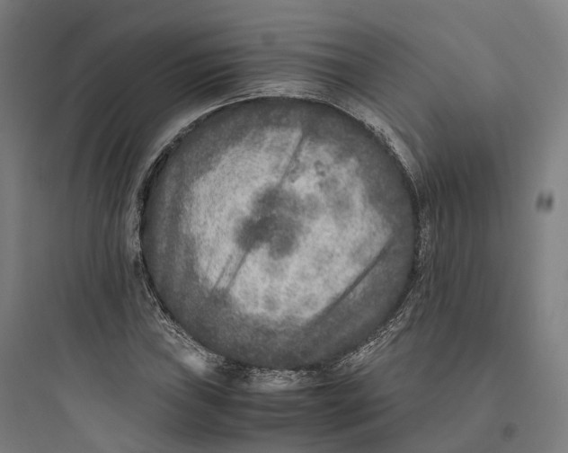 X0000093771019200711061129