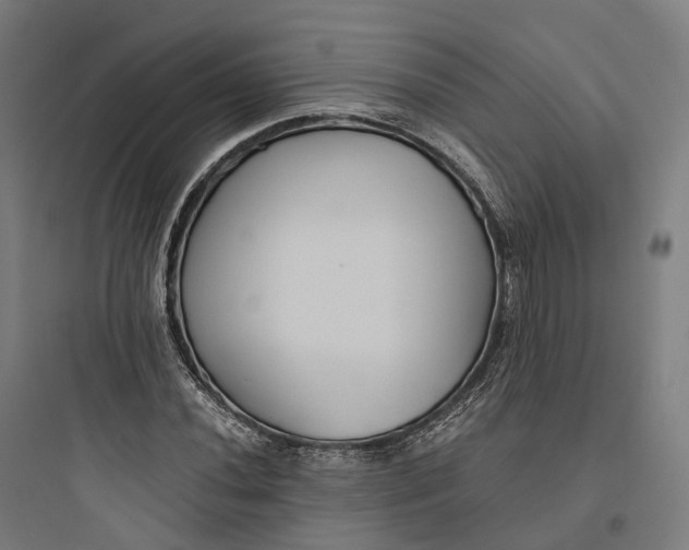 X0000093771020200711061129