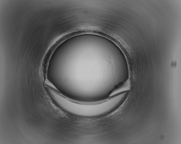 X0000093771022200711061129